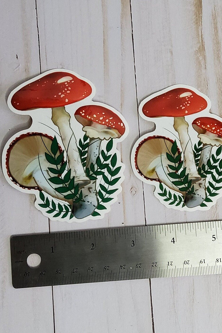 GLOSSY STICKER: Red Mushroom Forest Floor Aesthetic Sticker , Red Mushroom Sticker , Red Forest Mushroom Sticker , Mushroom Stickers