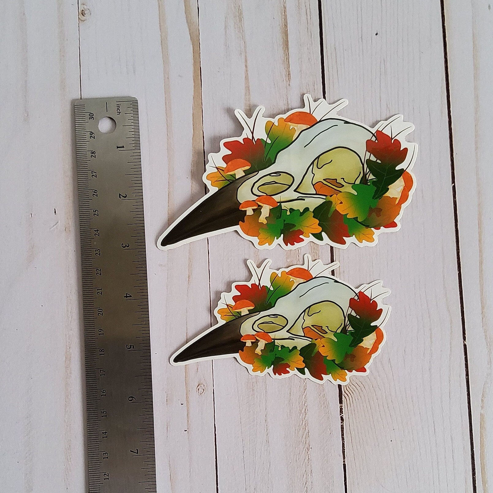 GLOSSY STICKER: Crow Skull and Leaves Sticker , Crow Skull Sticker , Mushroom Skull Sticker , Crow Skull and Leaves , Crow and Mushroom