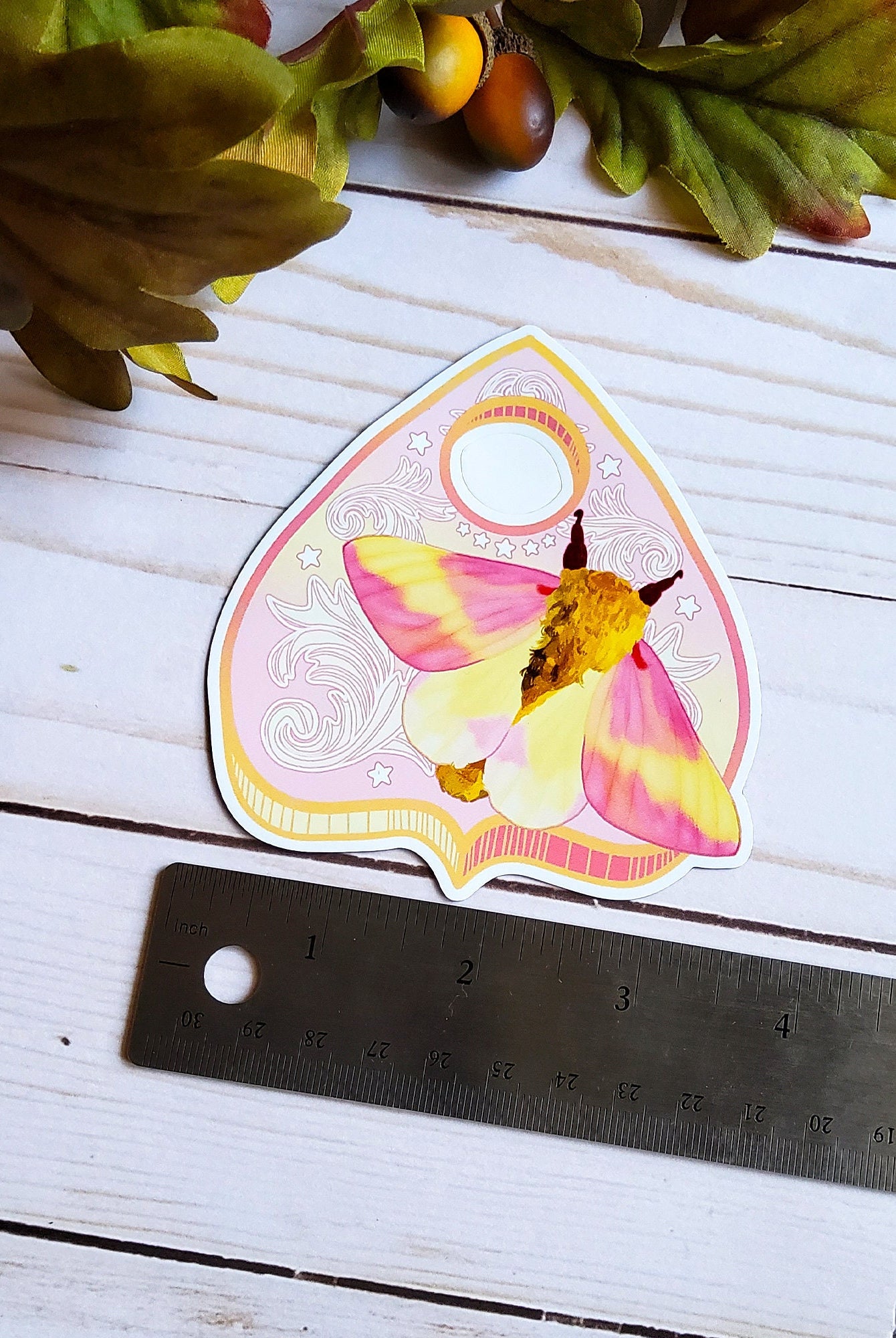 MAGNET: Rosy Maple Moth Planchette Decorative Magnet , Rosy Maple Moth Magnet , Rosy Maple Decorative Magnet , Moth Magnet