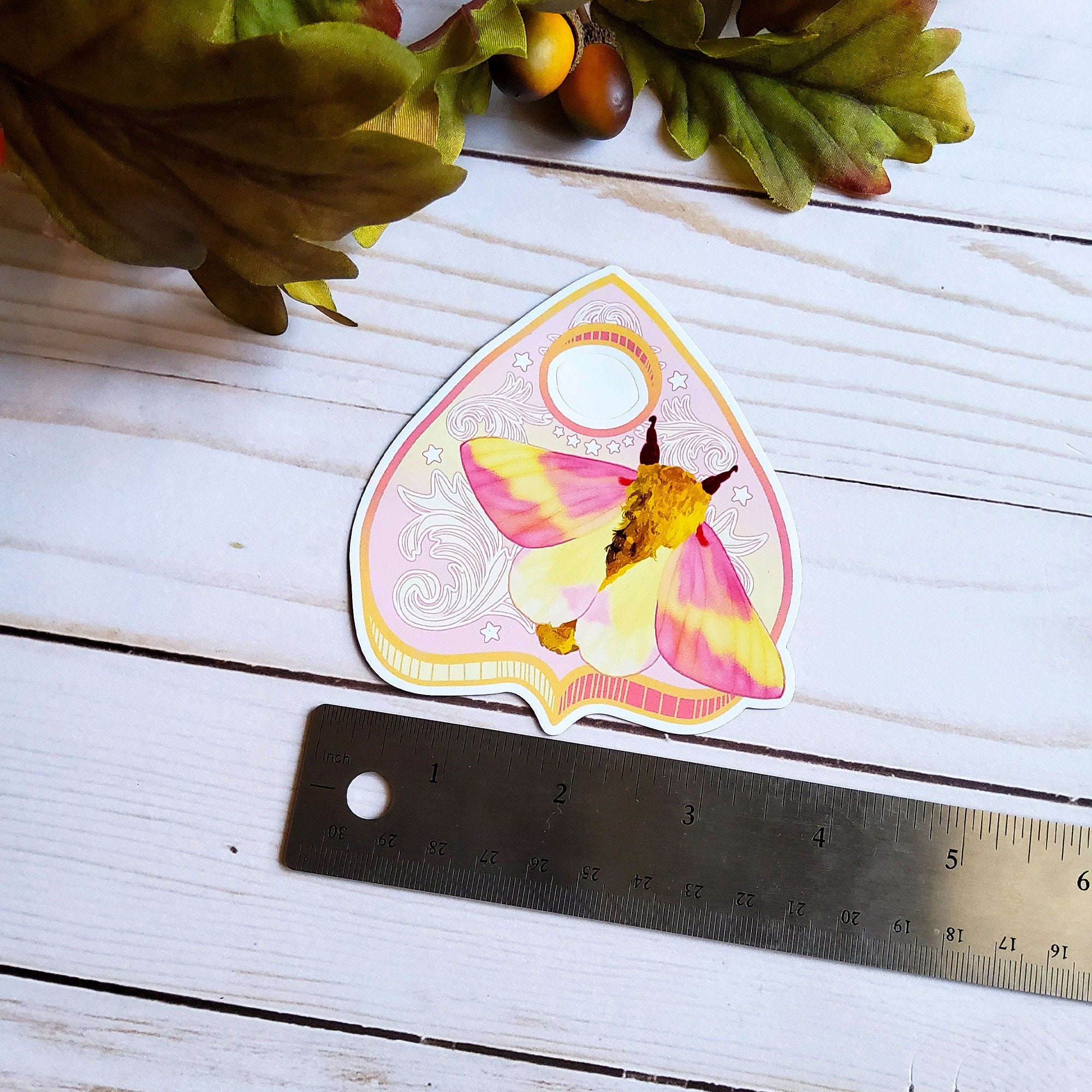 MAGNET: Rosy Maple Moth Planchette Decorative Magnet , Rosy Maple Moth Magnet , Rosy Maple Decorative Magnet , Moth Magnet