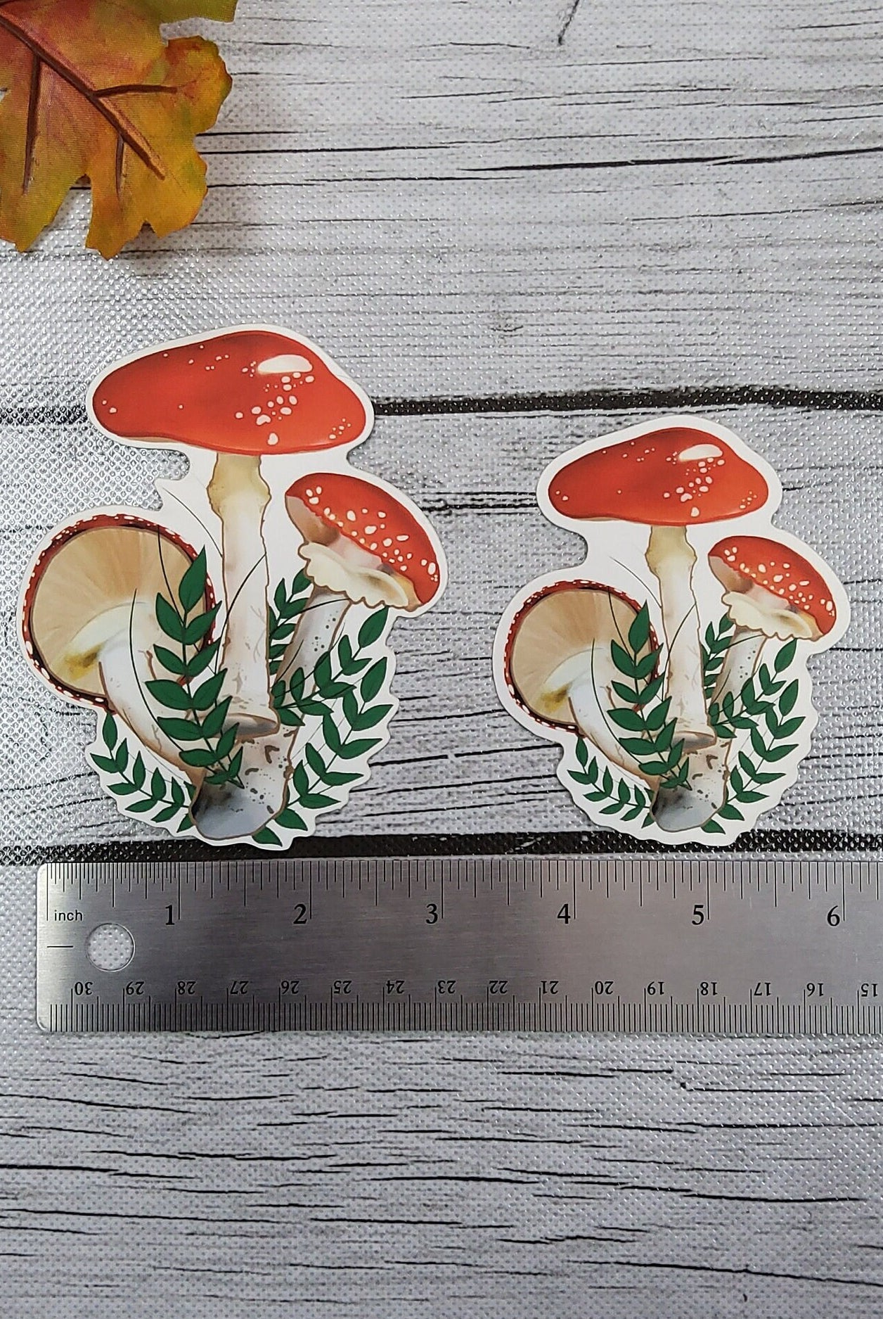MATTE STICKER: Red Mushroom Forest Floor Aesthetic Sticker , Red Mushroom Sticker , Red Forest Mushroom Sticker , Mushroom Stickers