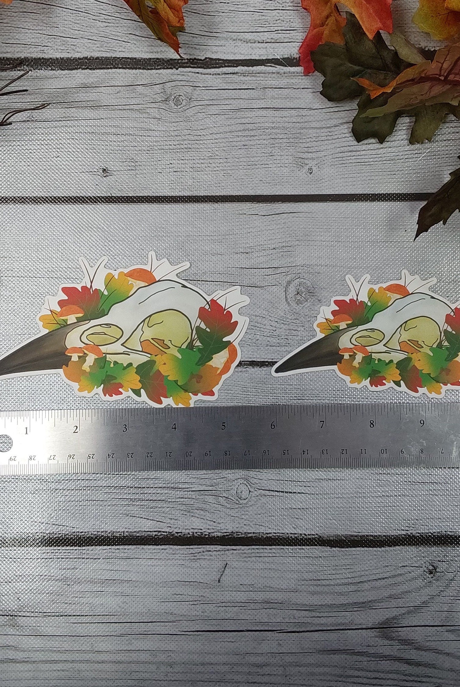 MATTE STICKER: Crow Skull and Leaves Sticker , Crow Skull Sticker , Mushroom Skull Sticker , Crow Skull and Leaves , Crow and Mushroom