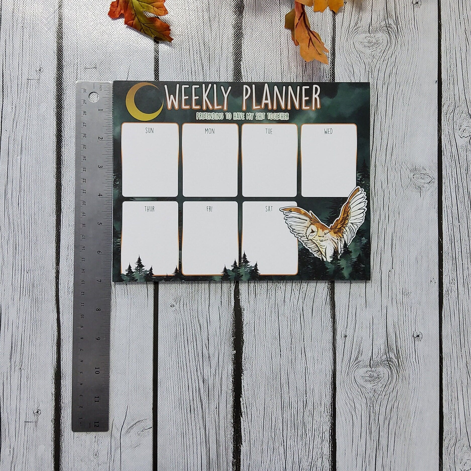 WEEKLY PLANNER: Dark Forest and Barn Owl Weekly Planner , Dark Forest Stationery , Barn Owl Art , Owl and Moon Art , Barn Owl and Moon