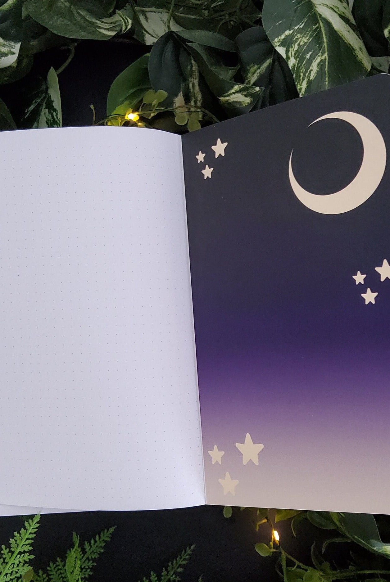 LAYFLAT NOTEBOOK: White Witch Moth and Moon with DOT Grid Pages , White Witch Moth , Witch Moth Art , Witch Moth Notebook