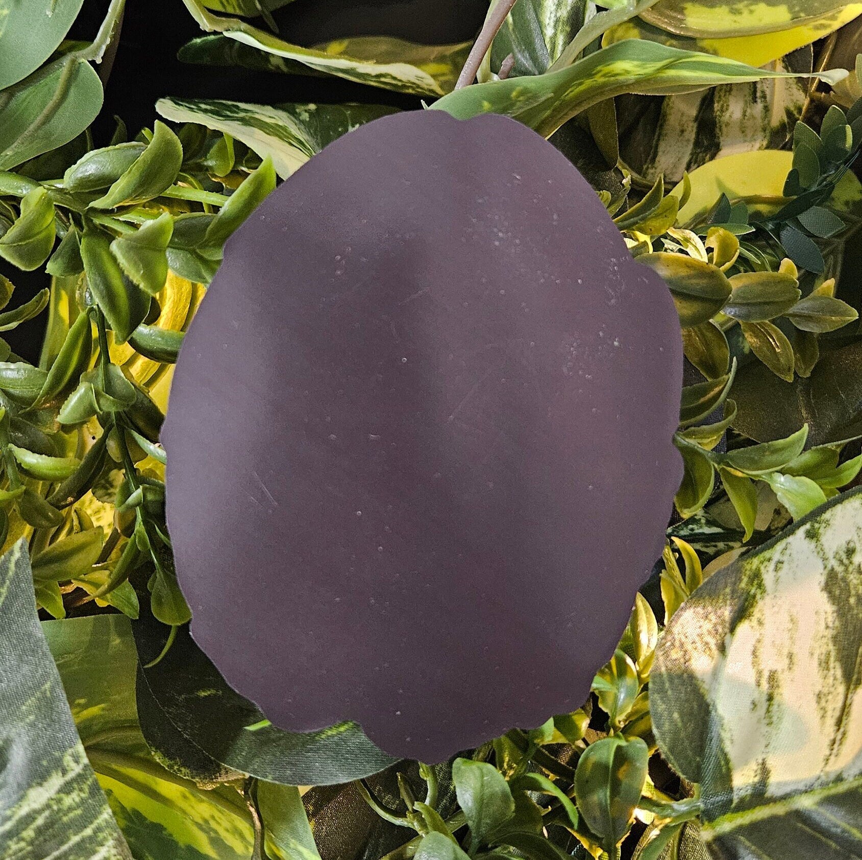 MAGNET: I Have Plants Coffin , I Have Plants Coffin Decorative Magnet , Purple Coffin Magnet , I Have Plants Coffin Magnet