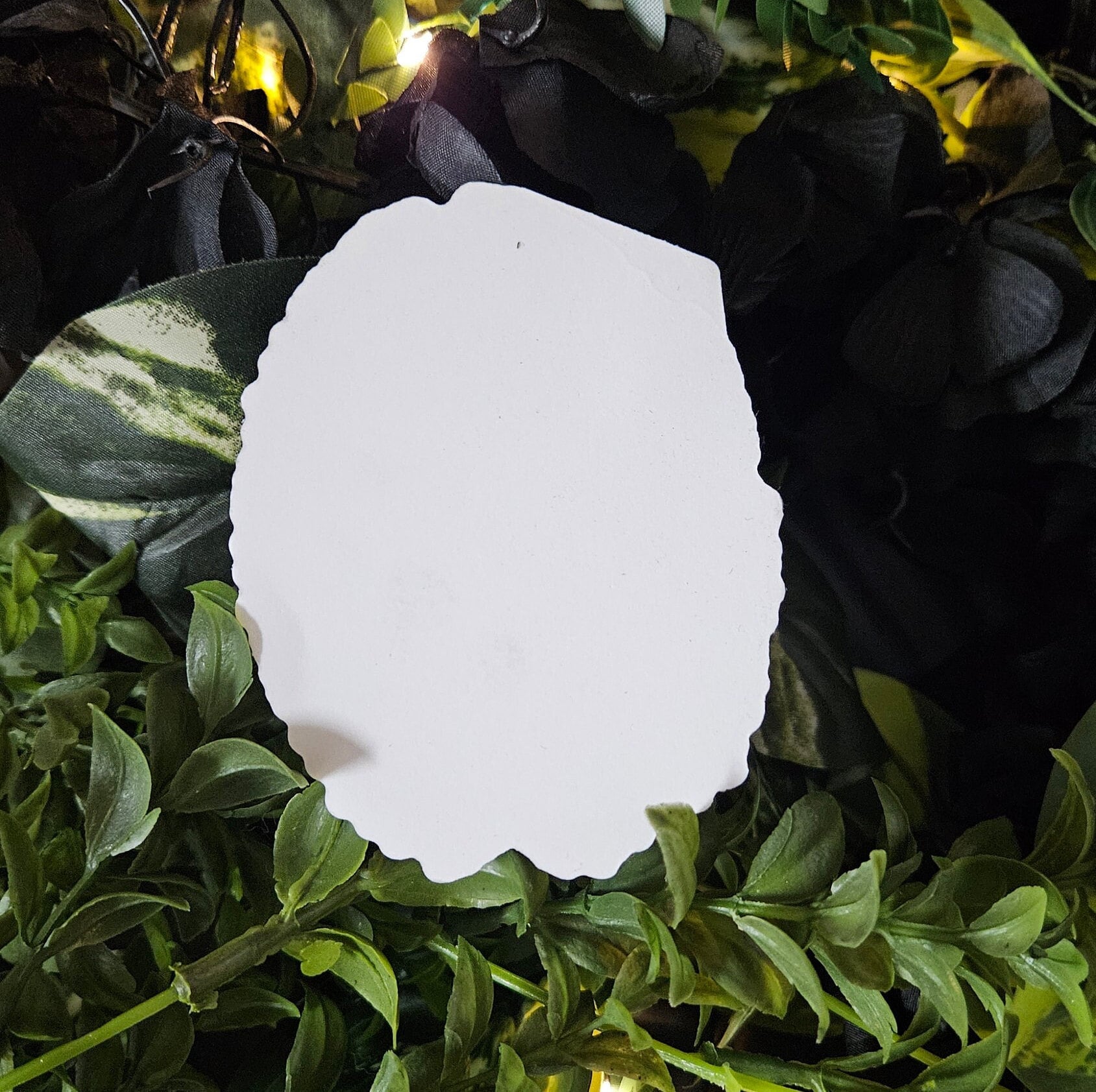 'No Thanks, I Have Plants Tonight' Coffin - Glossy Sticker Decorative Sticker Acornandcrowstudio