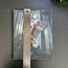 SPIRAL NOTEBOOK : Great Horned Owl in a Misty Forest with College Ruled Pages , Horned Owl Spiral , Great Horned Owl Notebook , Owl Journal