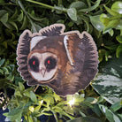 MATTE STICKER: Persistent Horror Barn Owl and Ferns Decorative Sticker Acornandcrowstudio