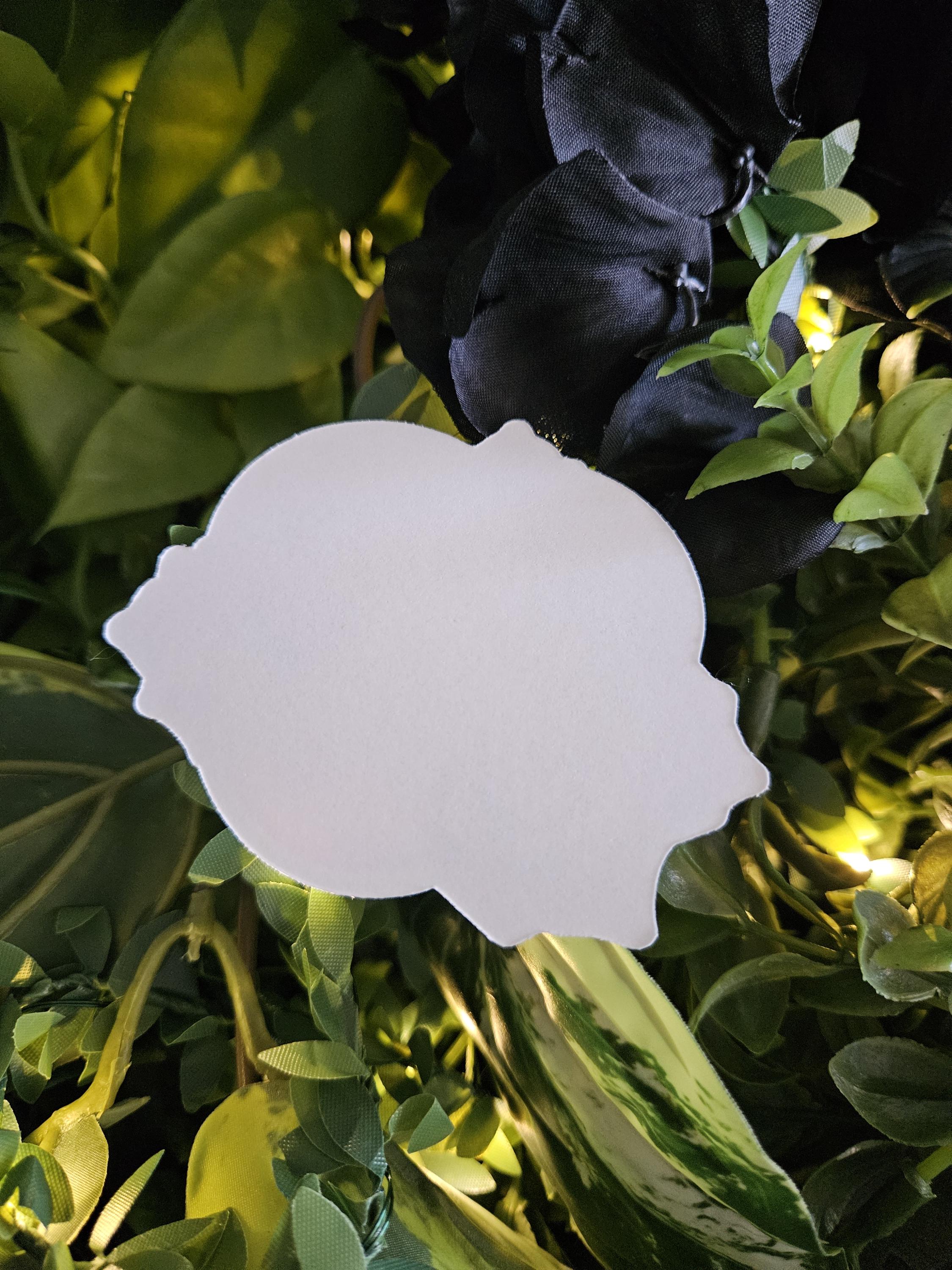 MATTE STICKER: June Pearl Crystal with Roses , Pastel Pearl Crystal Sticker , Pearl Crystal Sticker , Crystal and Roses , Floral Crystal Acornandcrowstudio