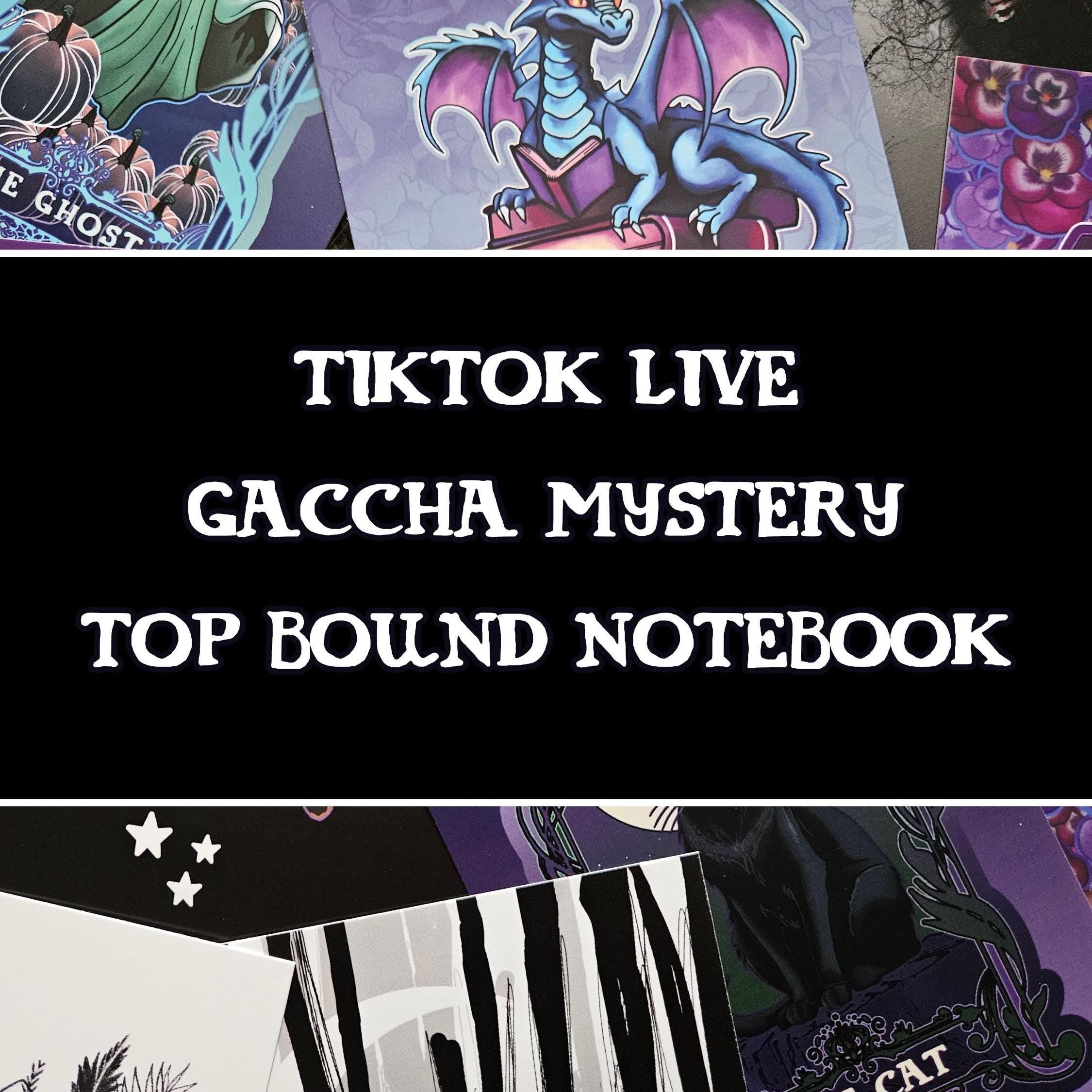 TIKTOK LIVE - Top Bound Spiral - Mystery Notebook Acornandcrowstudio