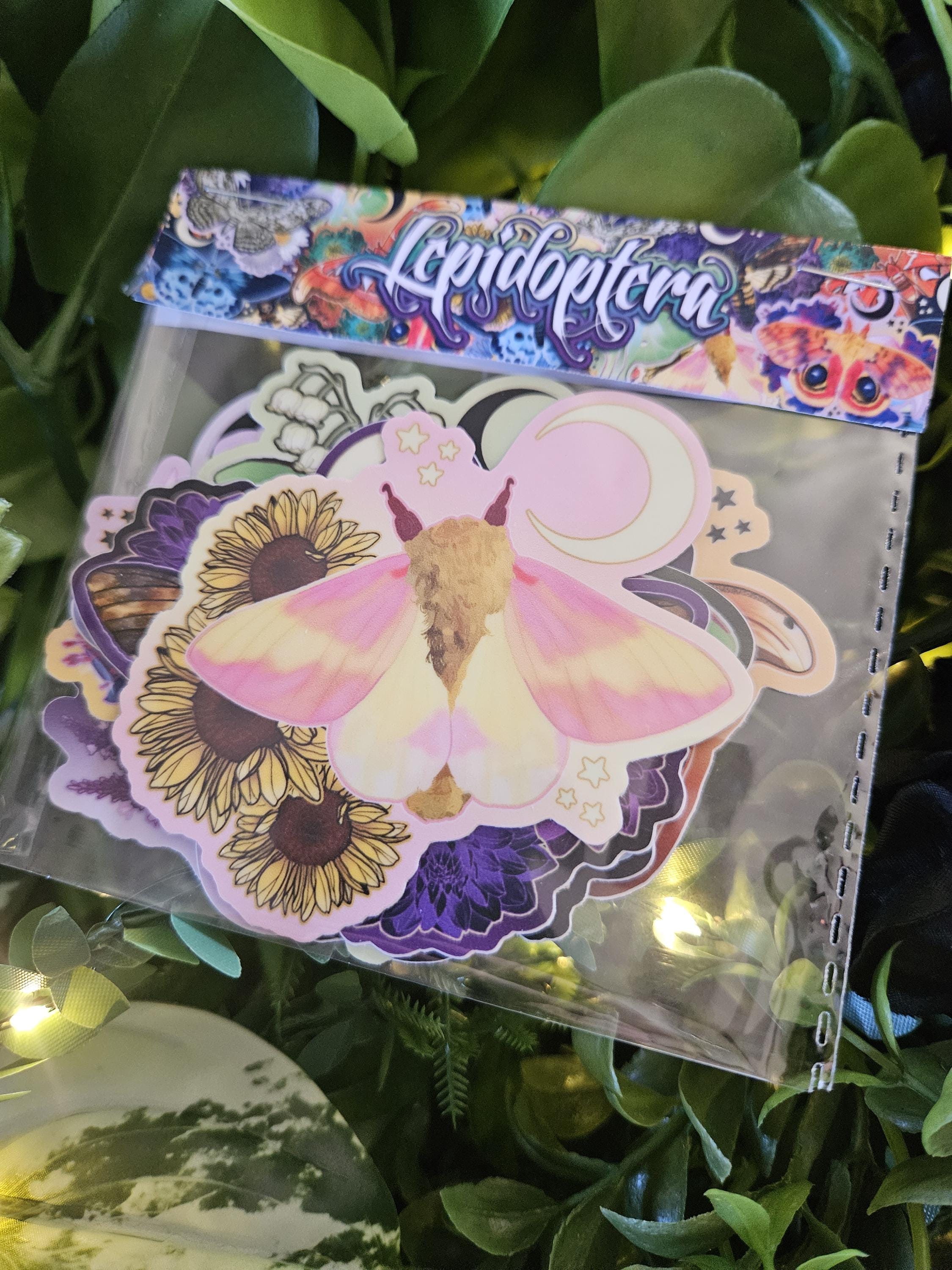 MOTH STICKER PACK: Contains All 7 Current Moth Stickers Acornandcrowstudio