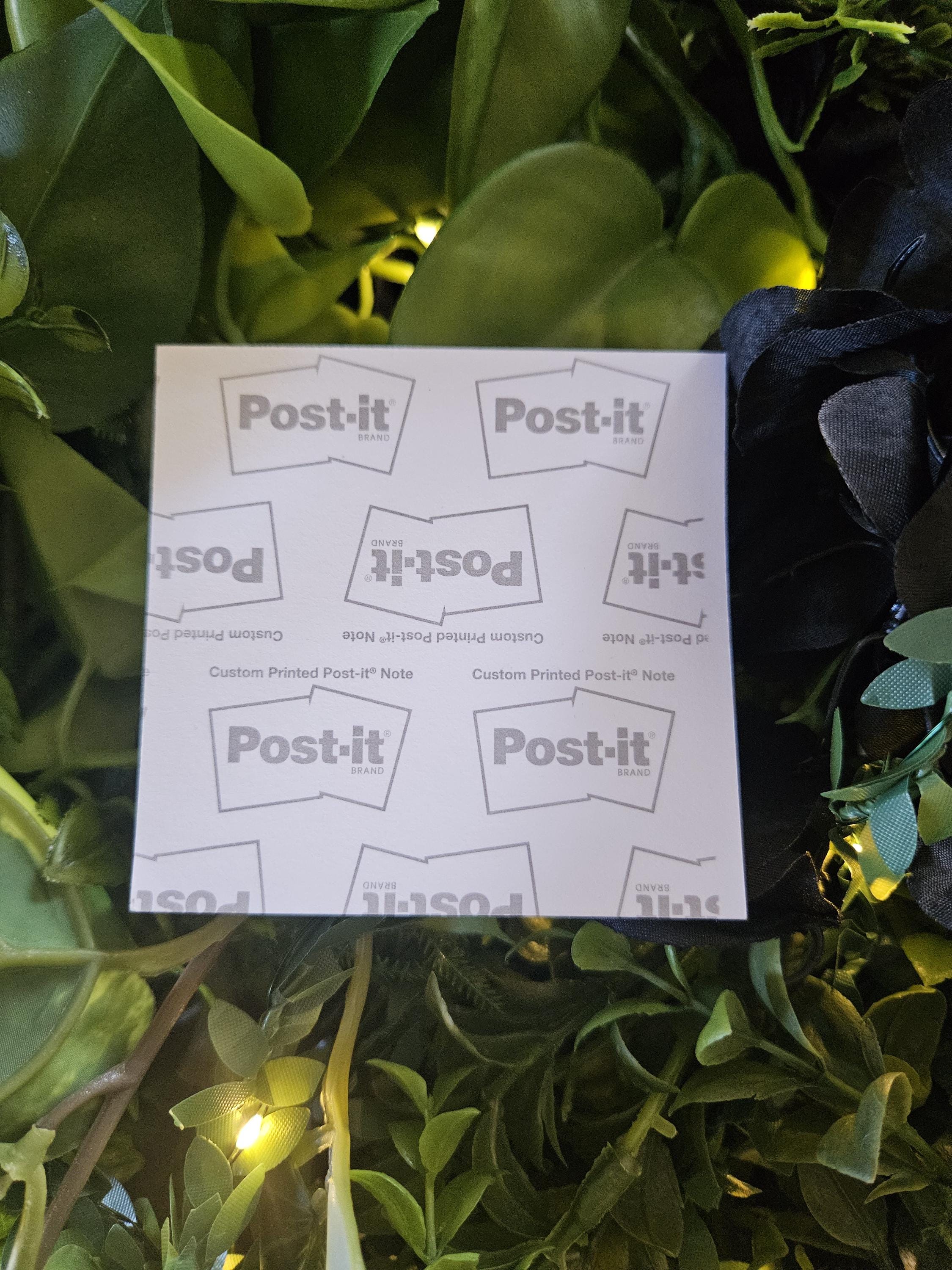 STICKY NOTES: Honduran Ghost Bat with Lemon Flowers (Cornelius)