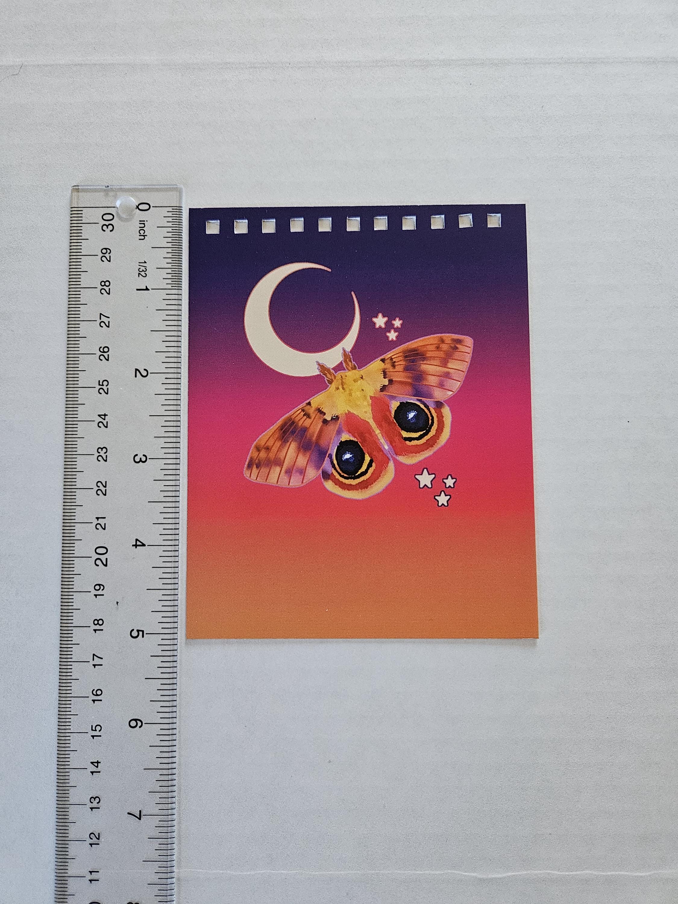 4x5 inches HANDMADE Top Bound SPIRAL NOTEBOOK: Io Moth Acornandcrowstudio