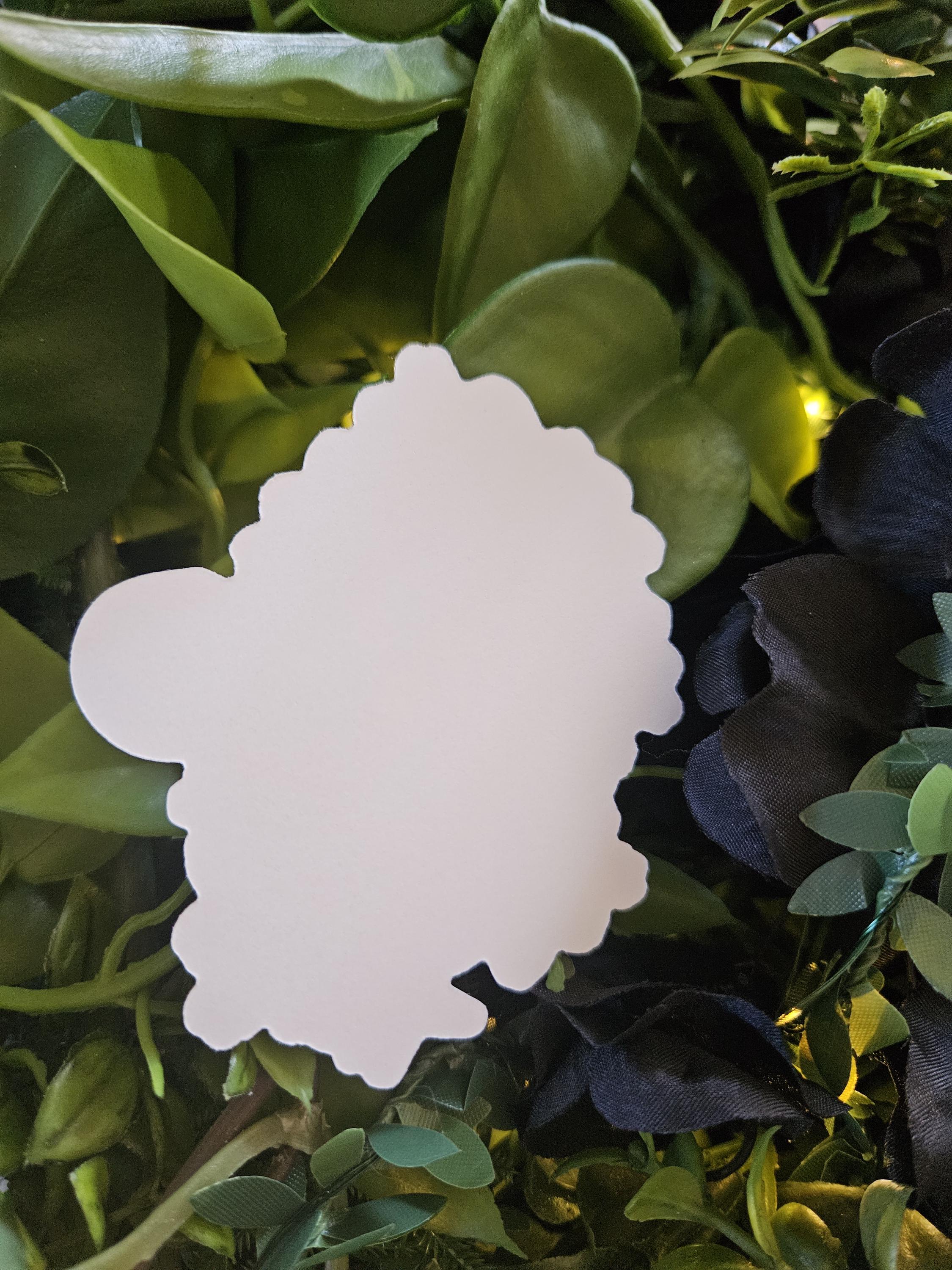 MATTE STICKER: Io Moth with Fuchsia Flowers