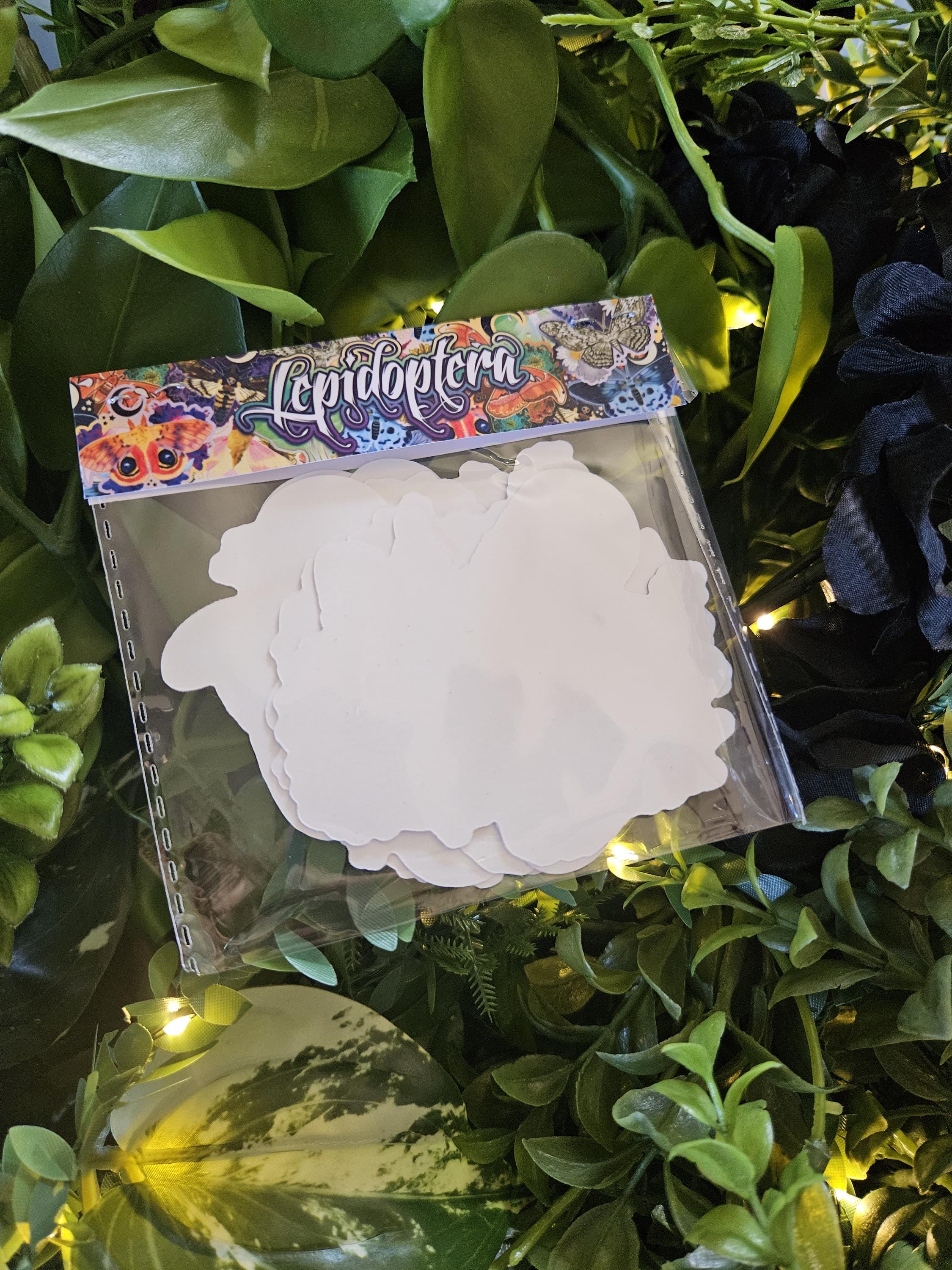 MOTH STICKER PACK: Contains All 7 Current Moth Stickers Acornandcrowstudio