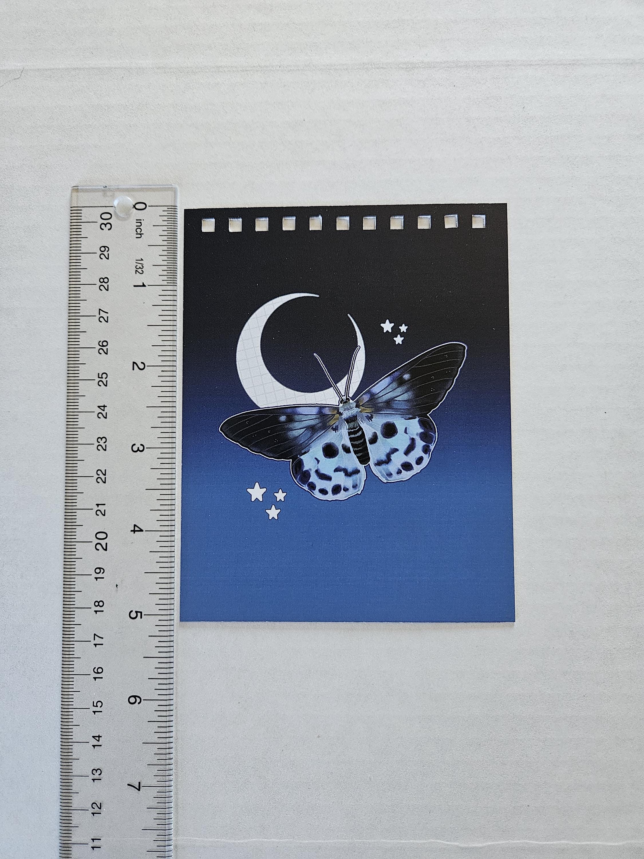 4x5 inches HANDMADE Top Bound SPIRAL NOTEBOOK: Blue Tiger Moth Acornandcrowstudio