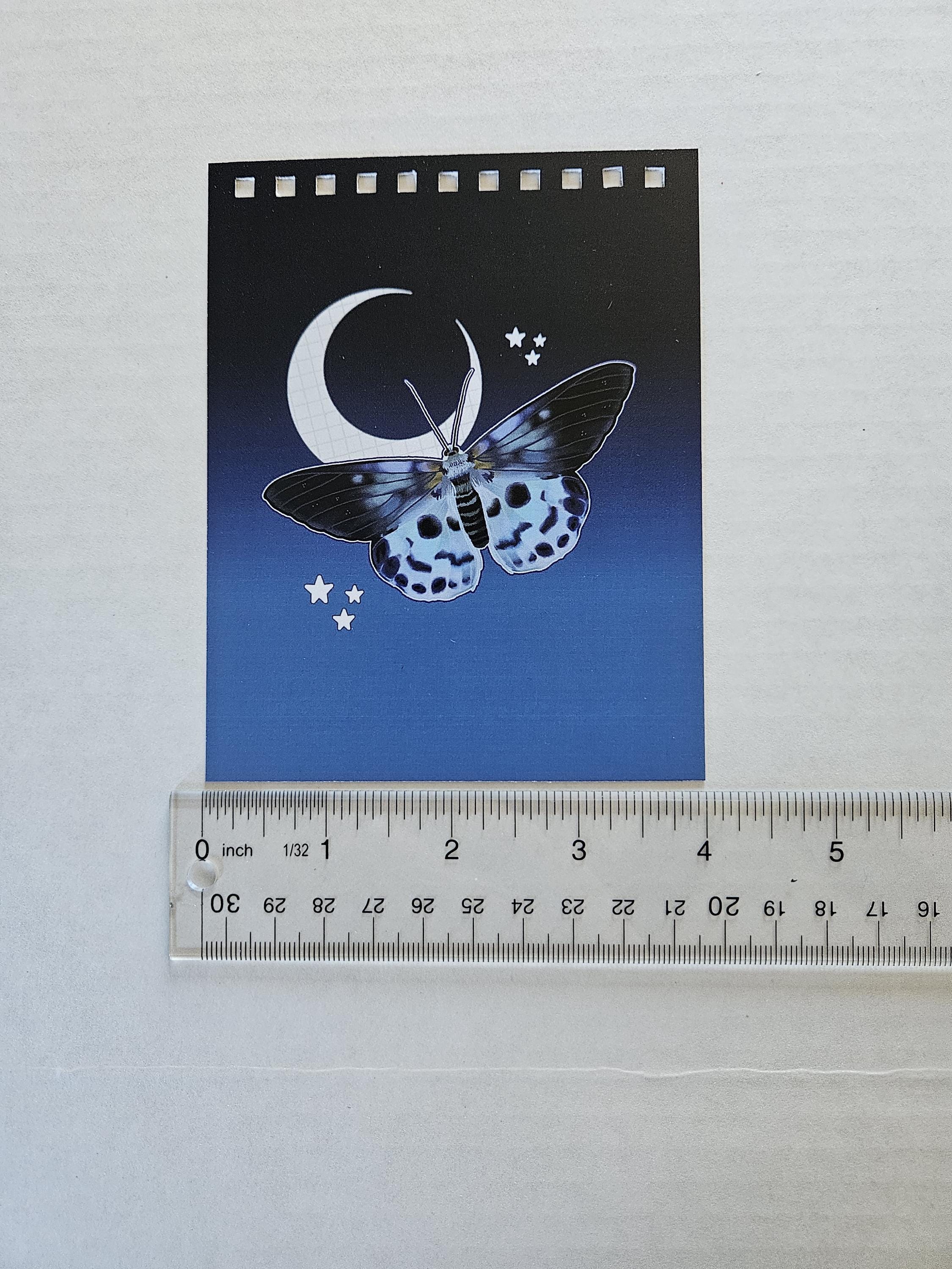 4x5 inches HANDMADE Top Bound SPIRAL NOTEBOOK: Blue Tiger Moth Acornandcrowstudio