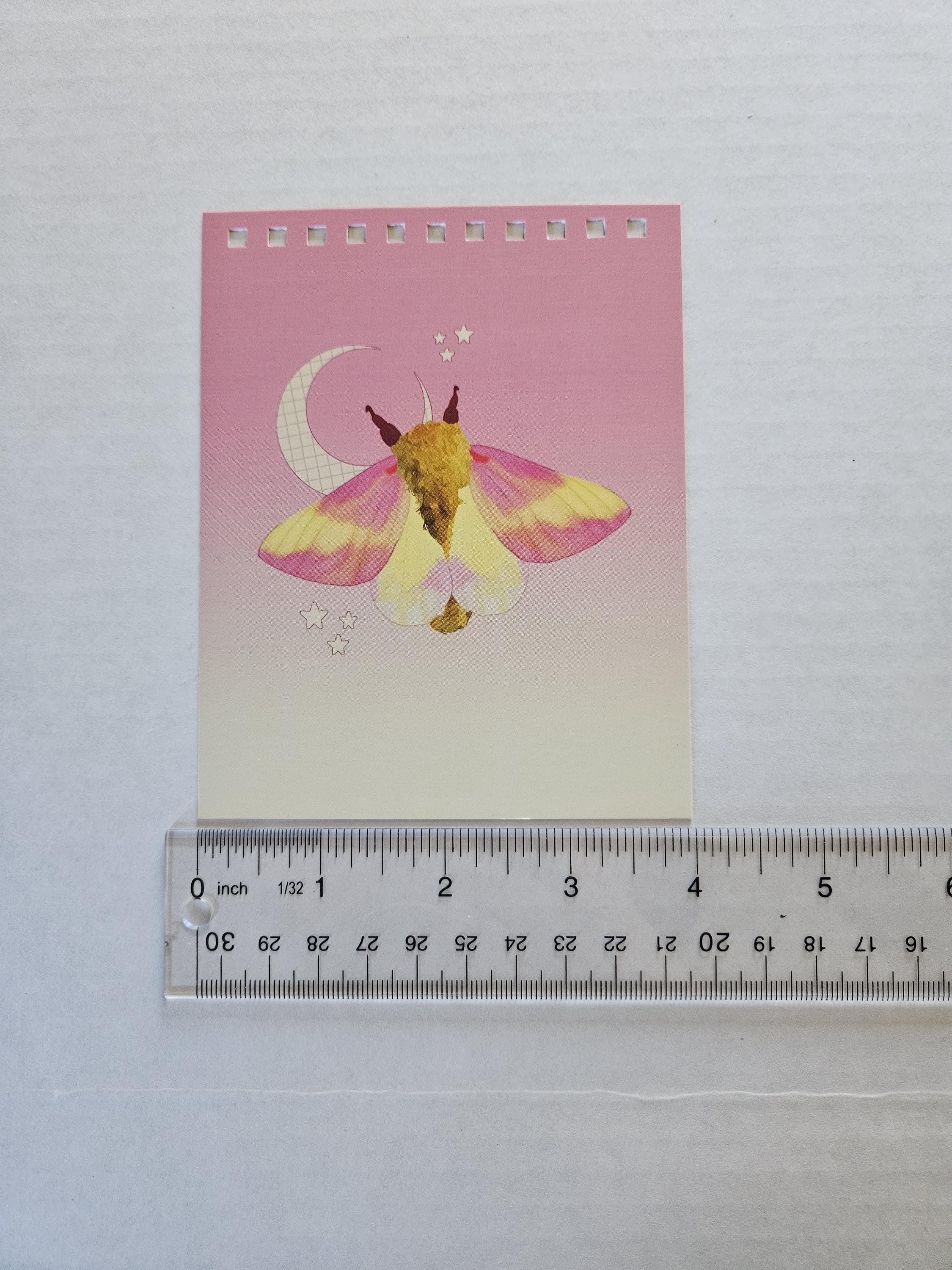 4x5 inches HANDMADE Top Bound SPIRAL NOTEBOOK: Rosy Maple Moth Acornandcrowstudio