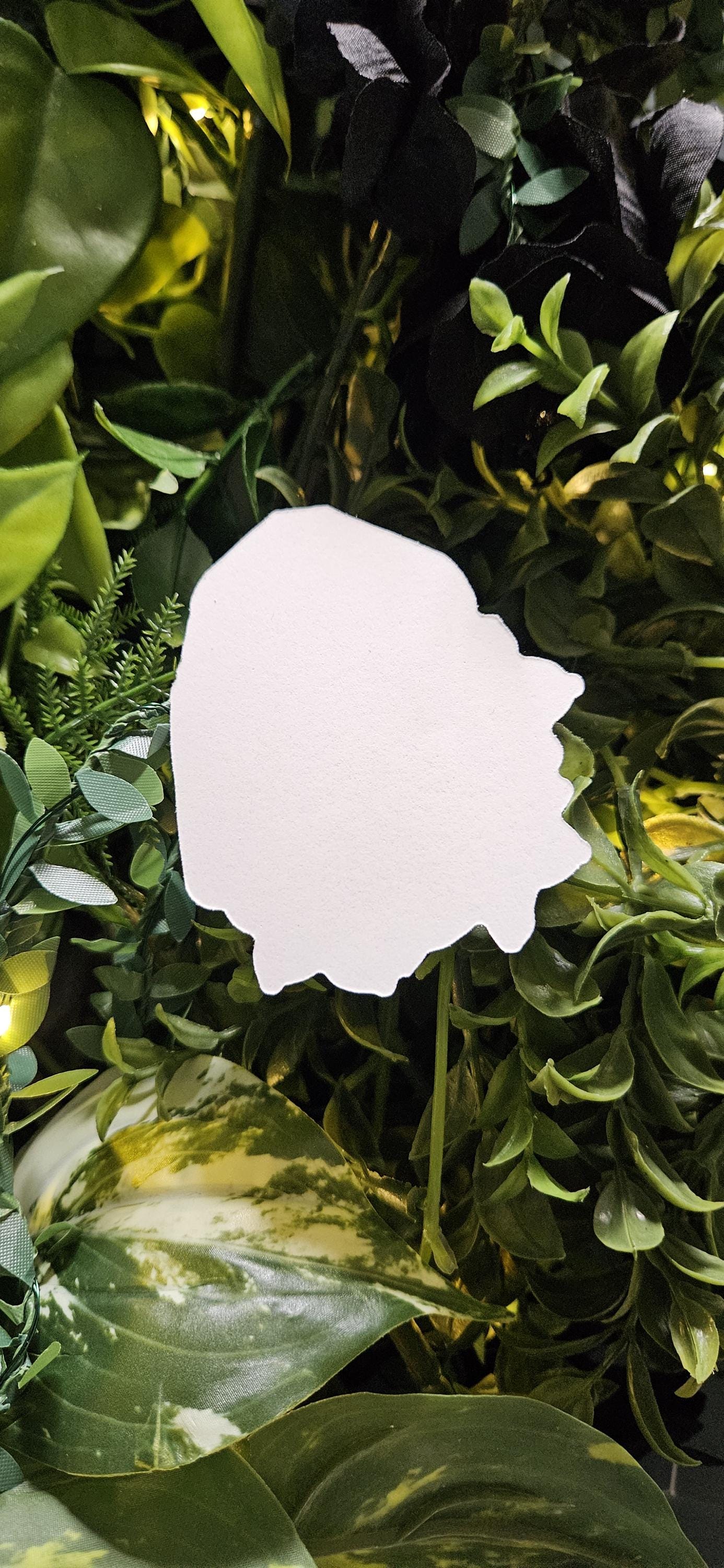 MATTE STICKER: December Tanzanite with Narcissus Acornandcrowstudio
