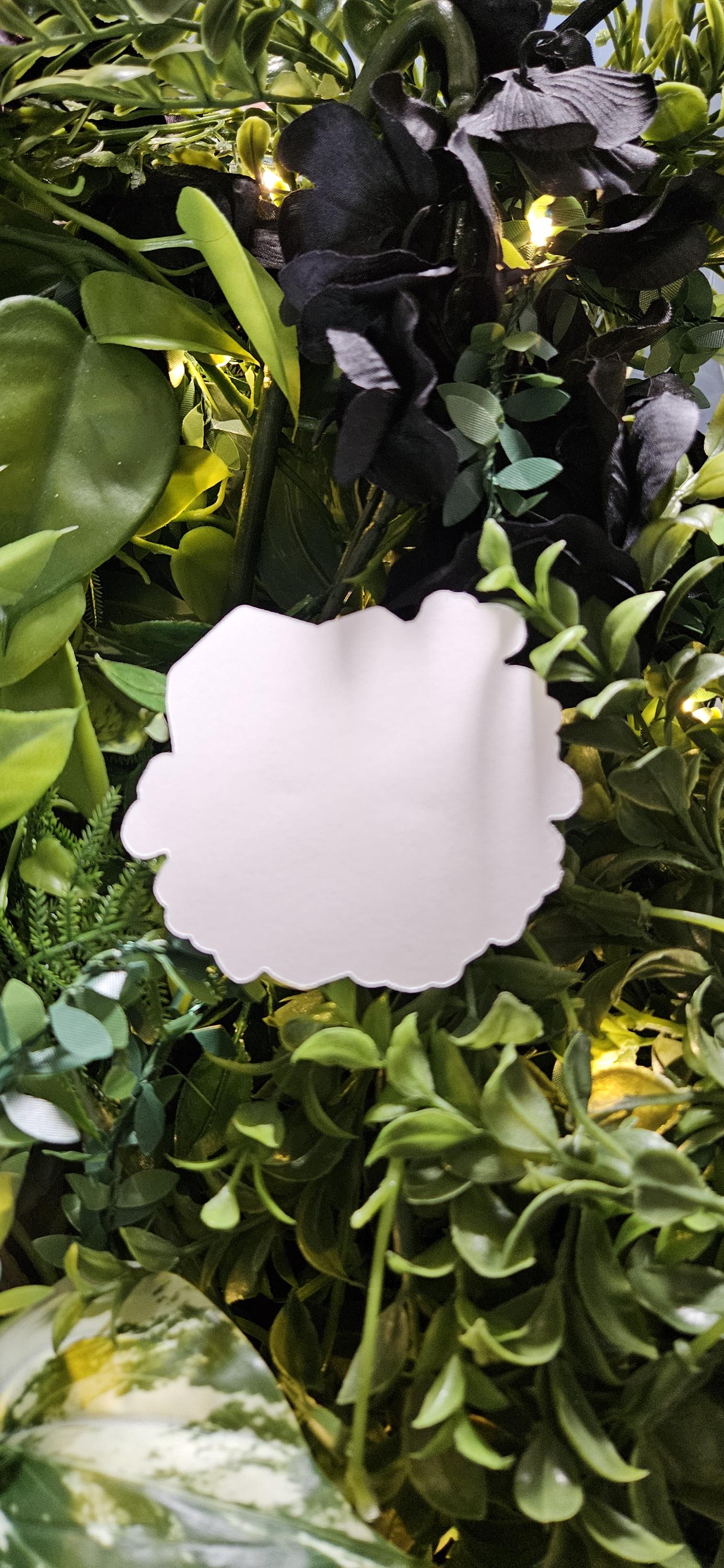 MATTE STICKER: August Peridot with Gladiolus Acornandcrowstudio