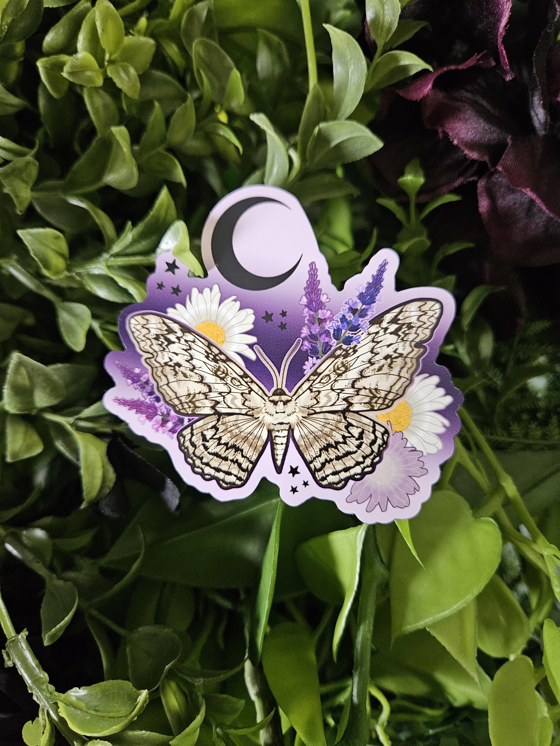 MAGNET: White Witch Moth with Lavender and Daisies Acornandcrowstudio